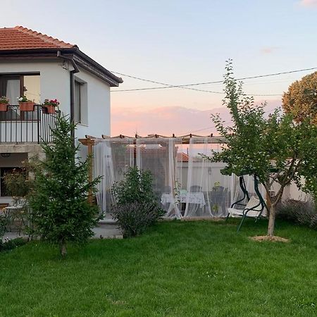 Villa Anika Mezek Exteriér fotografie