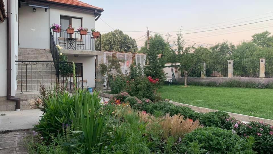 Villa Anika Mezek Exteriér fotografie